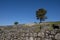 Archaeological site of San CibrÃ¡n de LÃ¡s. Fortified settlement of pre-Roman origin. Ourense, Galicia.