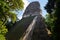 Archaeological Site: Tikal, The Place of Voices, also called Yax Mutul