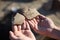 An archaeologist at an archaeological site shows fragments