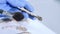 Archaeologist working in natural research lab. Laboratory assistant cleaning animal bones. Close-up of hands in gloves