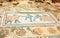 Archaic Roman era mosaic found at ancient Dion of Greece