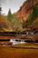 Archangel Cascades during fall in the beautiful Subway slot Canyon at Zion National Park