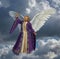 Archangel Micheal with Sky