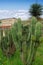 Archeaological site of Mitla, in Oaxaca, Mexico