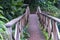 Arched bridge on a lake, Tanzania, Africa. Footbridge over a pond