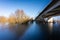 Arched bridge spans a small stream of water in a tranquil environment