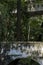 arched bridge, with vegetation around it, water at the bottom of the bridge, mexico,