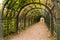 The arched corridor garden pergola consists of a wooden frame and climbing plants.