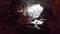 Arched Entrance to the Rio Frio Caves, Belize