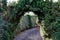 Arched pathway formed by bushes of a tree at a maze theme park