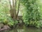 Arched stone bridge over river