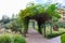 An Arched Trellis Tunnel covered with Vines and Plants at Parc El Harti in Marrakesh Morocco