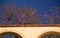 Arched wall and tree blossom