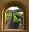 Arched Window On The Vineyard