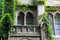 Arched windows and overgrown ivy