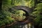 arched wooden bridge over a tranquil stream