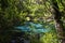 An arched wooden footbridge over the blue and emerald pools s. FL, USA