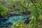 An arched wooden footbridge over the blue and emerald pools s. FL, USA