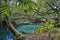 An arched wooden footbridge over the blue and emerald pools s. FL, USA