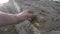 Archeology concept. man touches hands stone granite rock sunlight. Nature wild ancient rock stone lifestyle