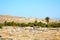 archeology in delos greece t historycal and old site