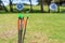 Archery arrows waiting to be shoot