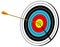 Archery target, bullseye, on white, vector illustration