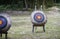 Archery target on the field,light and flare effect added,mean â€œchoose your goal,targetedâ€,â€success life goalsâ€