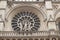 Arches and gargoyle of notre dame paris france