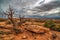 Arches National Park