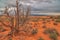 Arches National Park