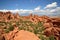 Arches National Park