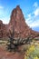 Arches National Park Landscape