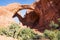 Arches National Park in Utah, USA. Famous Double Arch
