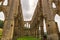 Arches at the Ruins of Rievaulx Abbey, a Cistercian abbey in Rievaulx  near Helmsley in the North York Moors National Pa