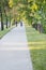 Arching Green Trees With Cyclists During Summer