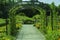 Arching Over The Pathway In The Garden