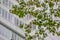 Architectural detail of building facade visible from the Bryant Park, New York