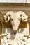 Architectural detail of a ram`s head on the facade of a building