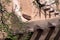 Architectural details of an historic pueblo style old adobe building on the Plaza in spring in Santa Fe, New Mexico, USA