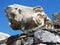 Architectural details of ruined head in Ephesus,Turkey