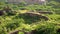 Architectural Grandeur Amidst the Green Magic of Tughlaqabad Fort