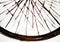 The architectural harmony of the spokes of the bicycle wheel