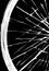 The architectural harmony of the spokes of the bicycle wheel energy meditation rotation profit