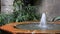 Architecture builder interior waterfall fountain indoor nature