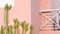 Architecture, cactus plant, pink wall of house. California modernism aesthetic.
