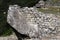 Architecture Detail Inca Ruins Machu Picchu Peru South America