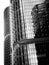 Architecture glass buildings at Barangaroo Sydney photographed in Black & White