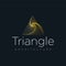 Architecture logo company, triangle logo concept, logo with lines, golden logo.