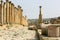 The architecture of the Roman Ruins of Jerash in the north of Amann in Jordan in the middle east. Jordan, Jerash, 2018